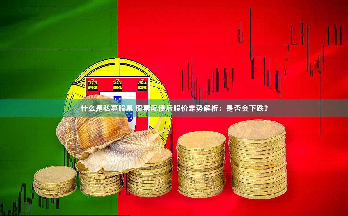什么是私募股票 股票配债后股价走势解析：是否会下跌？